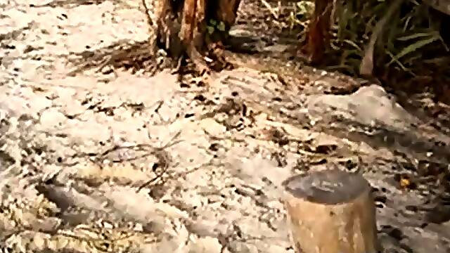 New Smartphone Captures Jamaican Vacation Beautifully!