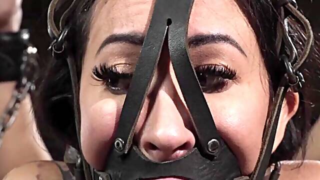 Bdsm Movies