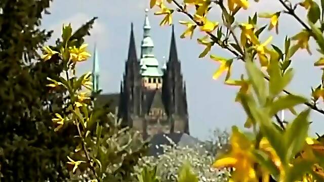 Lupus LP-043 - Stalin 3