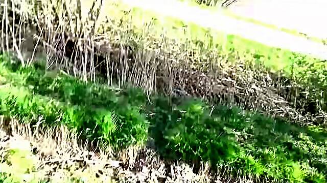 German Nudism Aged Entice to Screw by 2 Stranger Public
