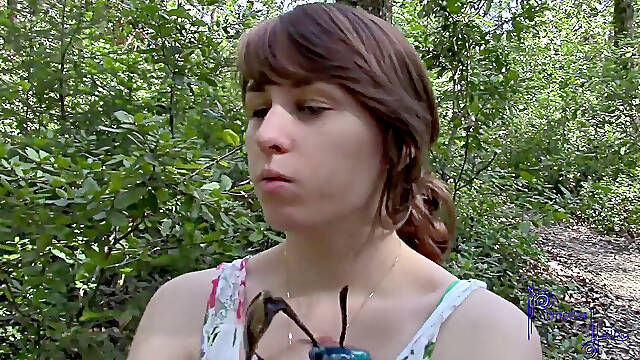 Deep forest dt